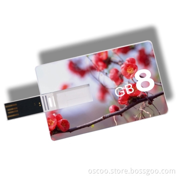 OEM Credit Card USB Flash Drives